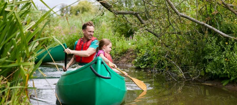 Cotswold Gardens B&B - Father’s Day in the Cotswolds 2026: The Ultimate Guide to Days Out, Dining & Gifts WWT Slimbridge