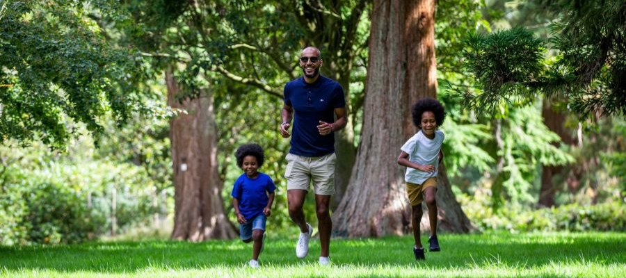 Cotswold Gardens B&B - Father’s Day in the Cotswolds 2026: The Ultimate Guide to Days Out, Dining & Gifts Westonbirt